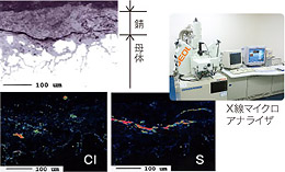 面分析による元素分布測定