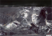 溶剤き裂破面のマイクロスコープ観察像