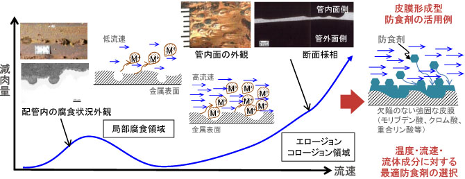 流体中の損傷メカニズム