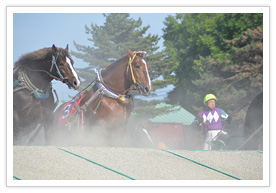 障害を越えるばん馬
