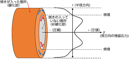 図3　円筒部品の表面焼入れによる残留応力発生分布概要図（一例）