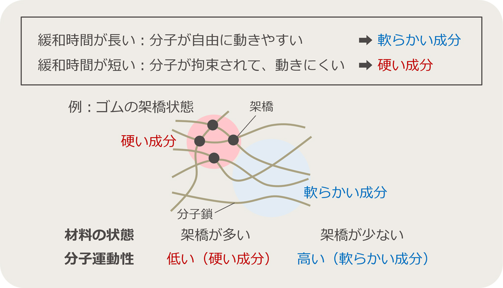 図3　パルスNMRによる分子運動性解析